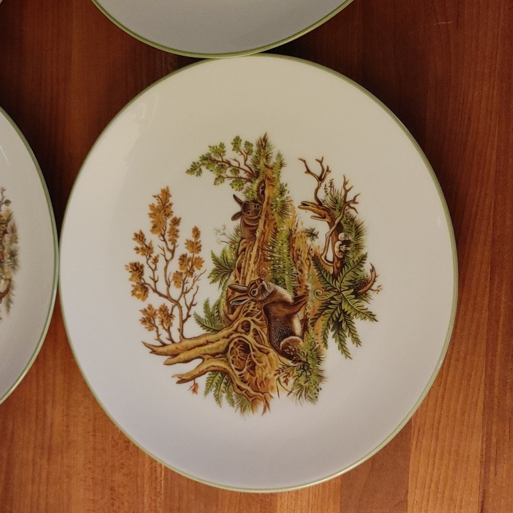 6 Bareuther Waldsassen Wildlife Transferware Porcelain Luncheon Plates - Picture 8 of 17